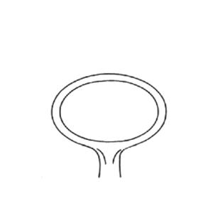 DESMARRES Chalazions Forcep 9 cm Fig. 2