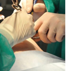 Sterile Latex Surgical Powdered Examination Gloves ‘6,5