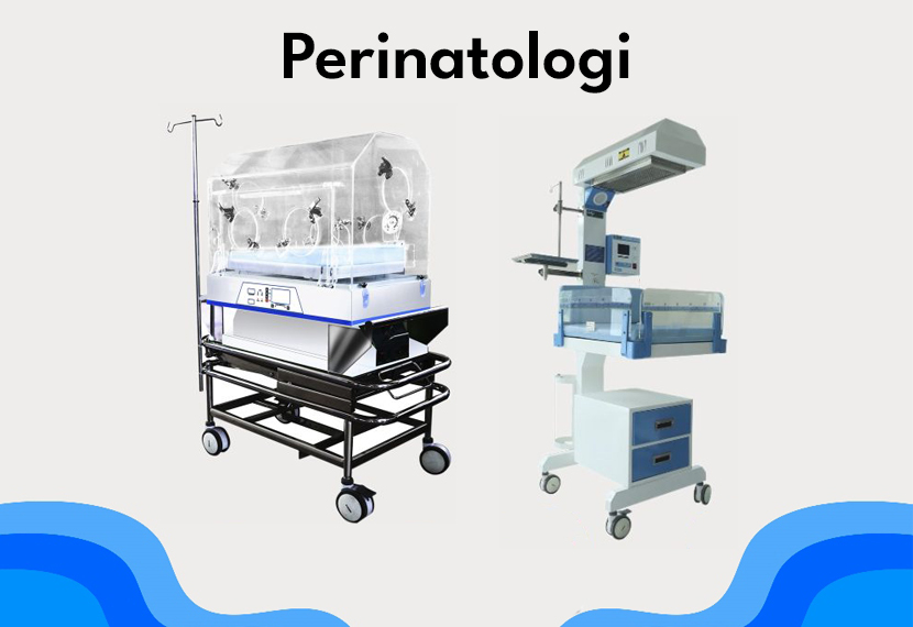 thumbnail_perintologi